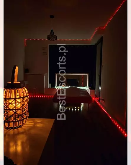 Liza szczupła kicia